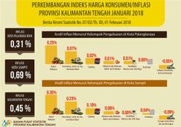 Perkembangan Indeks Harga Konsumen/ Inflasi Provinsi Kalimantan Tengah Janauri 2018